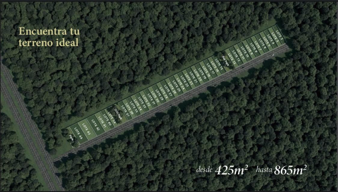 Venta de terreno en Carretera Motul de 425.86 m2 - 1