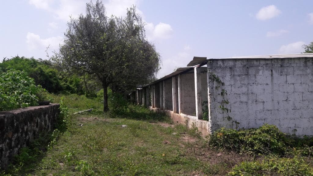 PASO DE OVEJAS, Rancho en VENTA de 80 Hectáreas! - 1