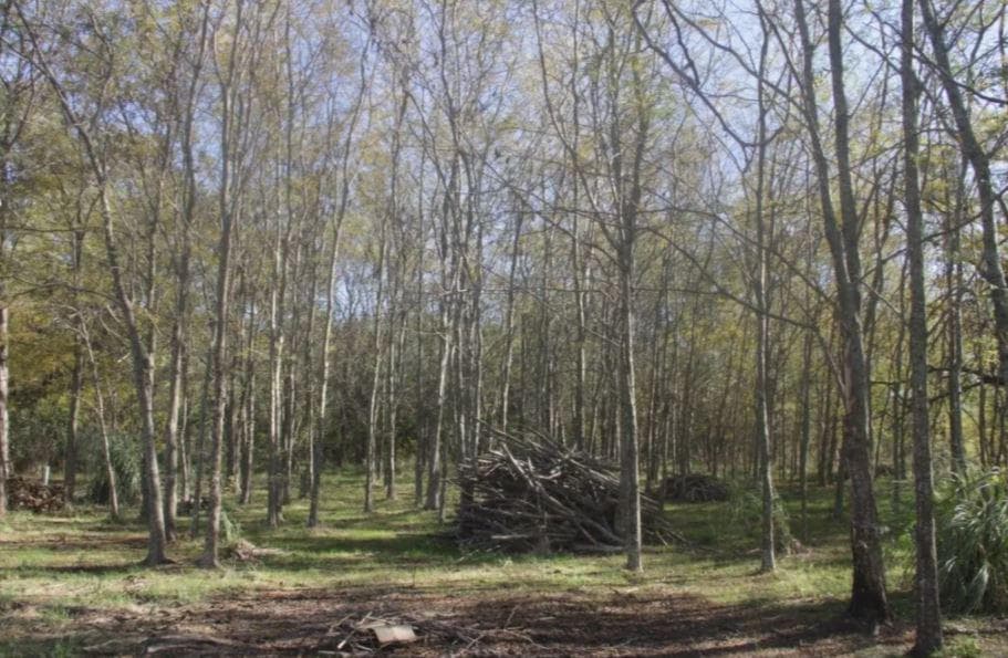 Terreno venta - 50x100mts - 5000mts2 totales - Navarro - 1