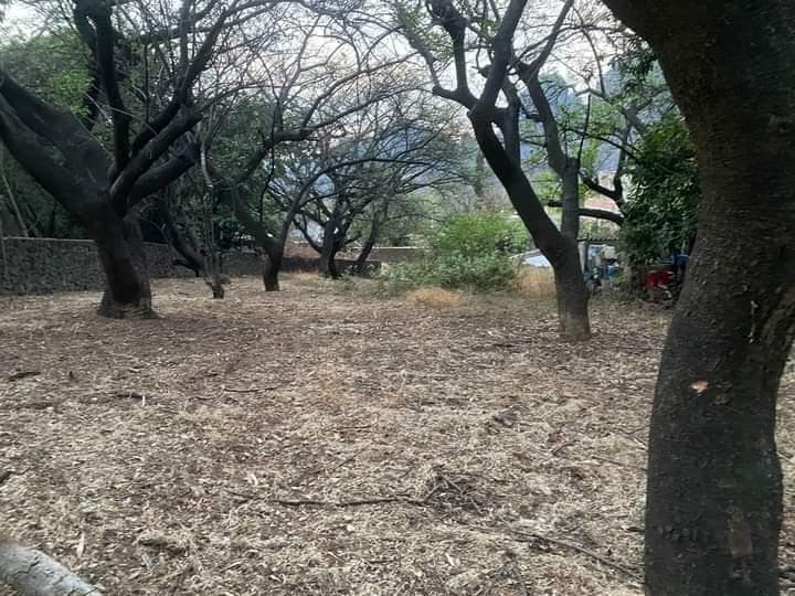 Venta de terreno , Tepoztlan , Morelos Colonia del Carmen $2,800,000.00 - 1