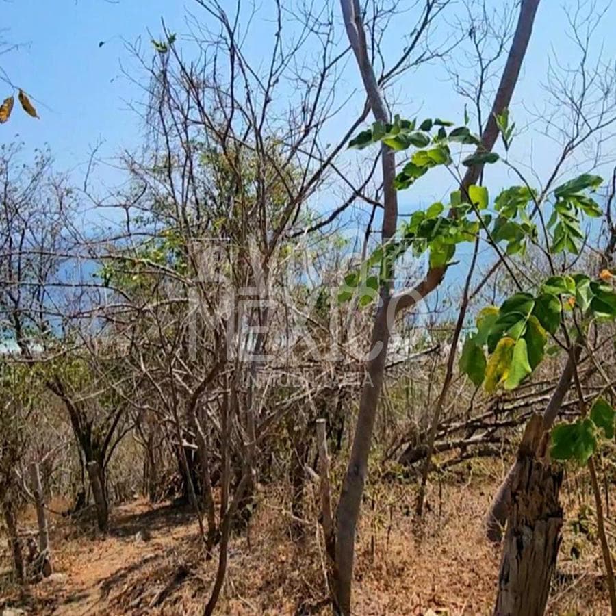 TERRENO EN MAZUNTE, TONAMECA, OAXACA - 1