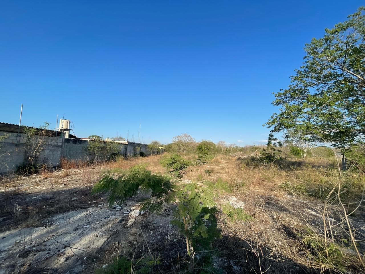 Venta de gran terreno Rumbo a progreso ideal para desarrollo inmobiliario - 1