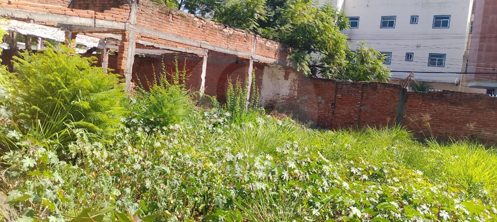 Terreno Comercial en venta en Fraccionamiento Volcanes de Cuautla - 1