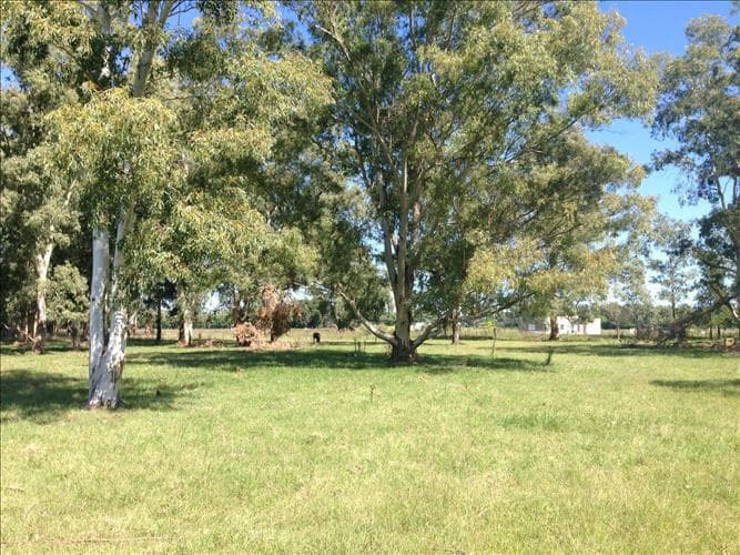 Terreno en venta - 6000Mts2 - San Miguel del Monte - 1