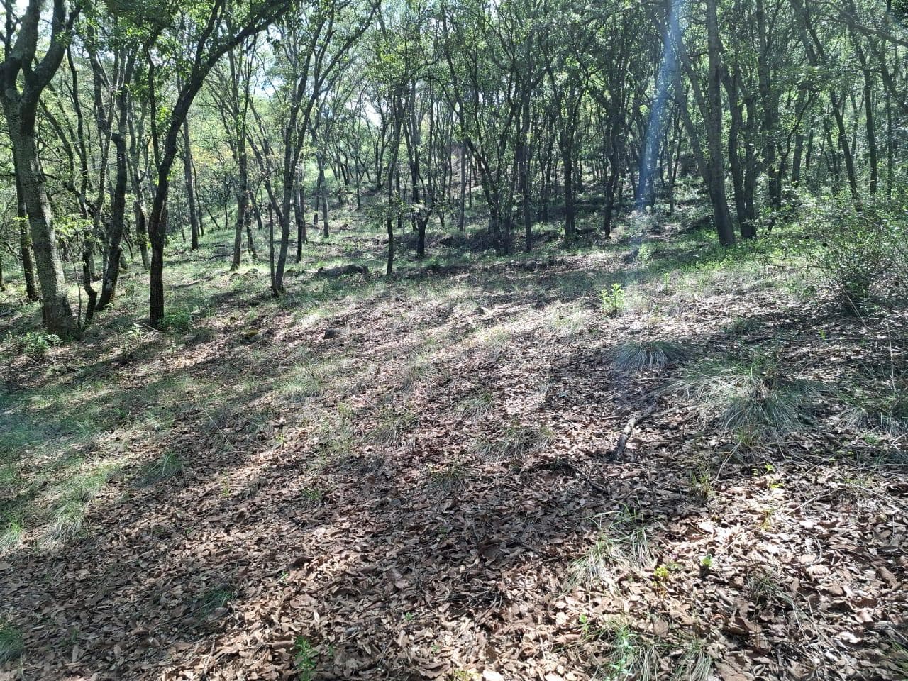 Venta de Terreno en Fracc. Campestre lt. 56, Villa del Carbón - 1