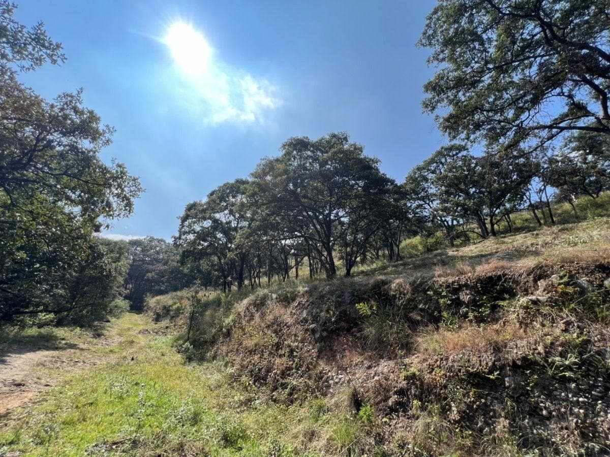 VENTA DE TERRENO EN FRACC. CAMPESTRE LT. 56 MZ 11, VILLA DEL CARBÓN - 1