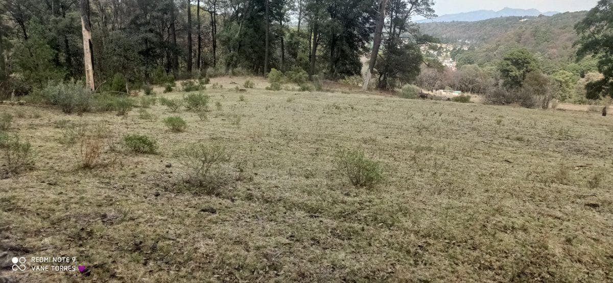 TERRENO EN SAN JERÓNIMO ZACAPEXCO - 1