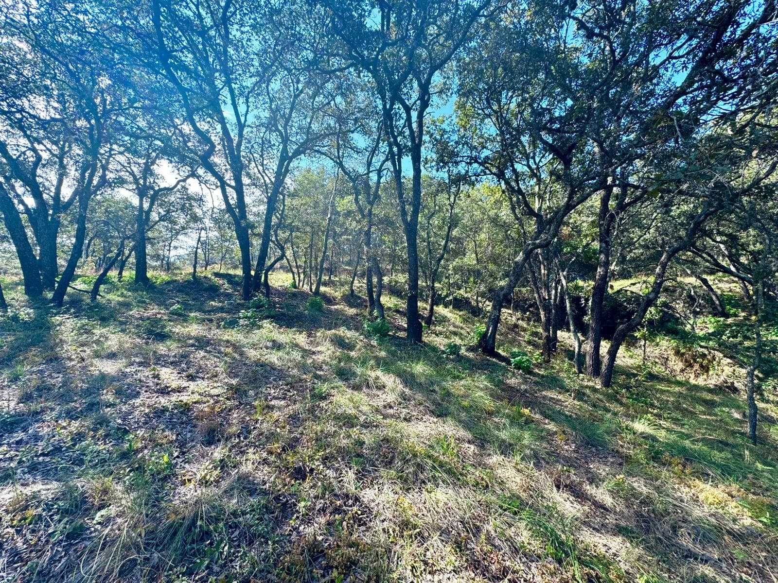 VENTA DE TERRENO EN FRACC. RESID. CAMPESTRE LT 96 , MZ 11, DE VILLA DEL CARBÓN - 1
