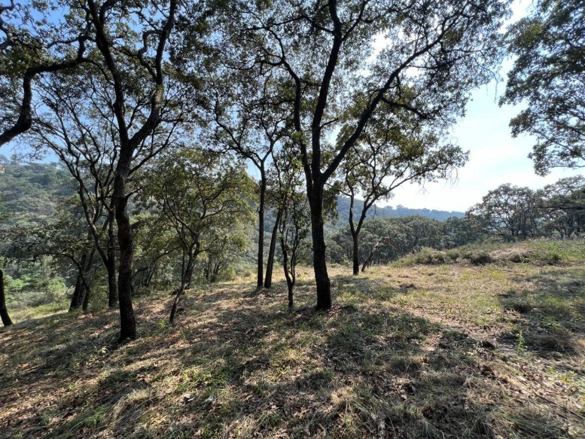 VENTA DE TERRENO EN FRACC. CAMPESTRE LT. 83 MZ 11, VILLA DEL CARBÓN - 1