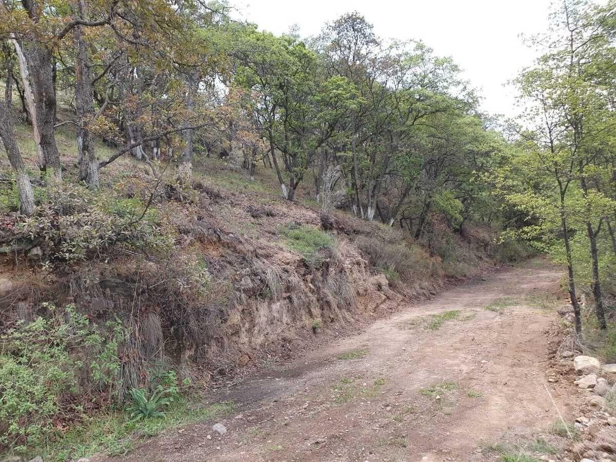 VENTA DE TERRENO EN FRACC. CAMPESTRE LT. 89 MZ 11, VILLA DEL CARBÓN - 1
