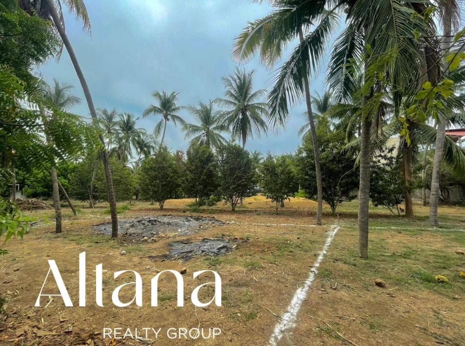 Terreno Comercial en Venta en Zipolite - Roca Blanca - 1