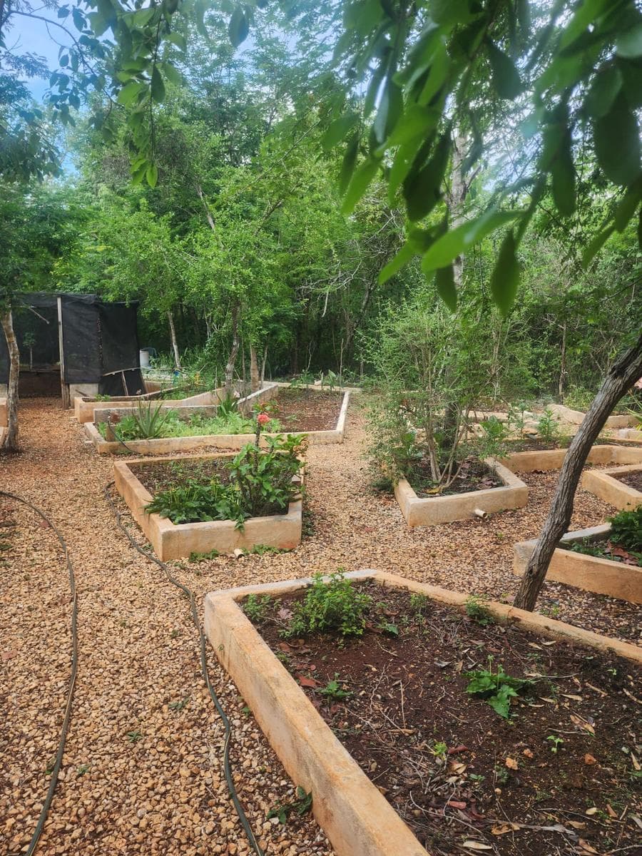 TERRENO CON CENTRO CEREMONIAL EN VENTA EN CHICHIMILA YUCATAN - 1