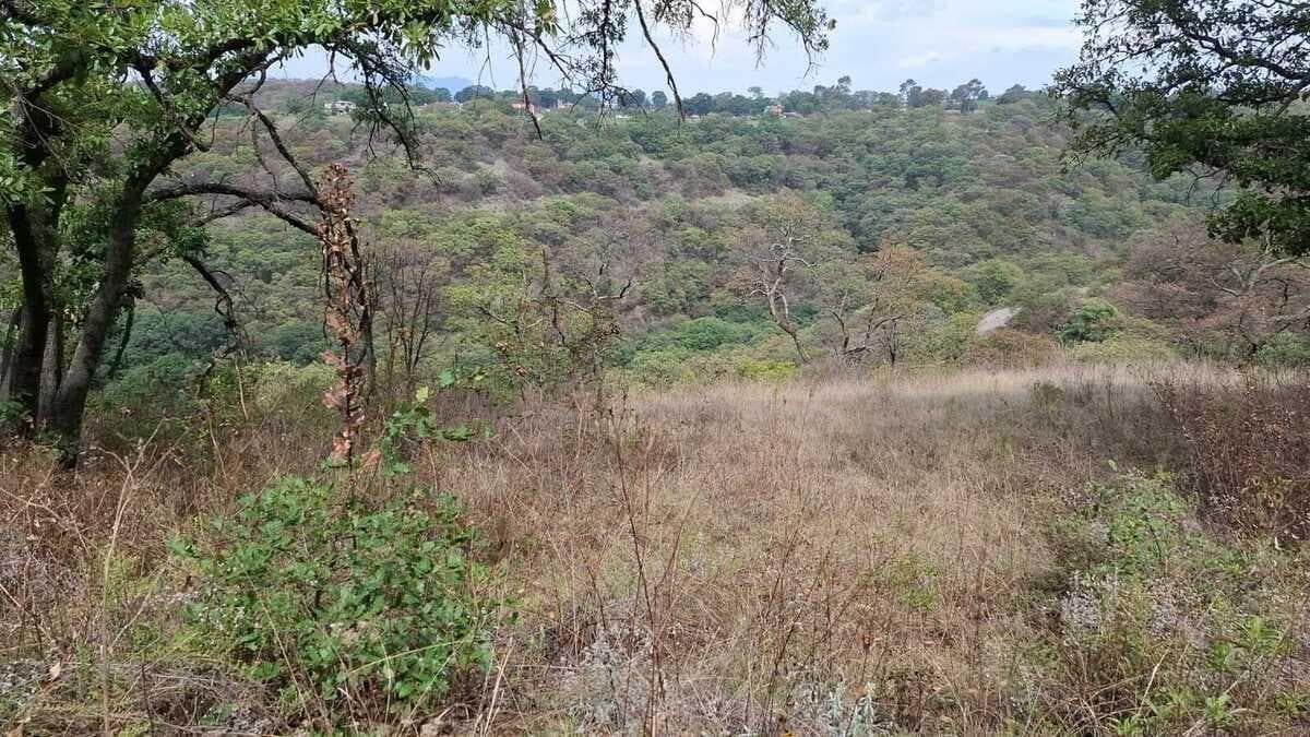 Terreno en Villa del Carbón - 1