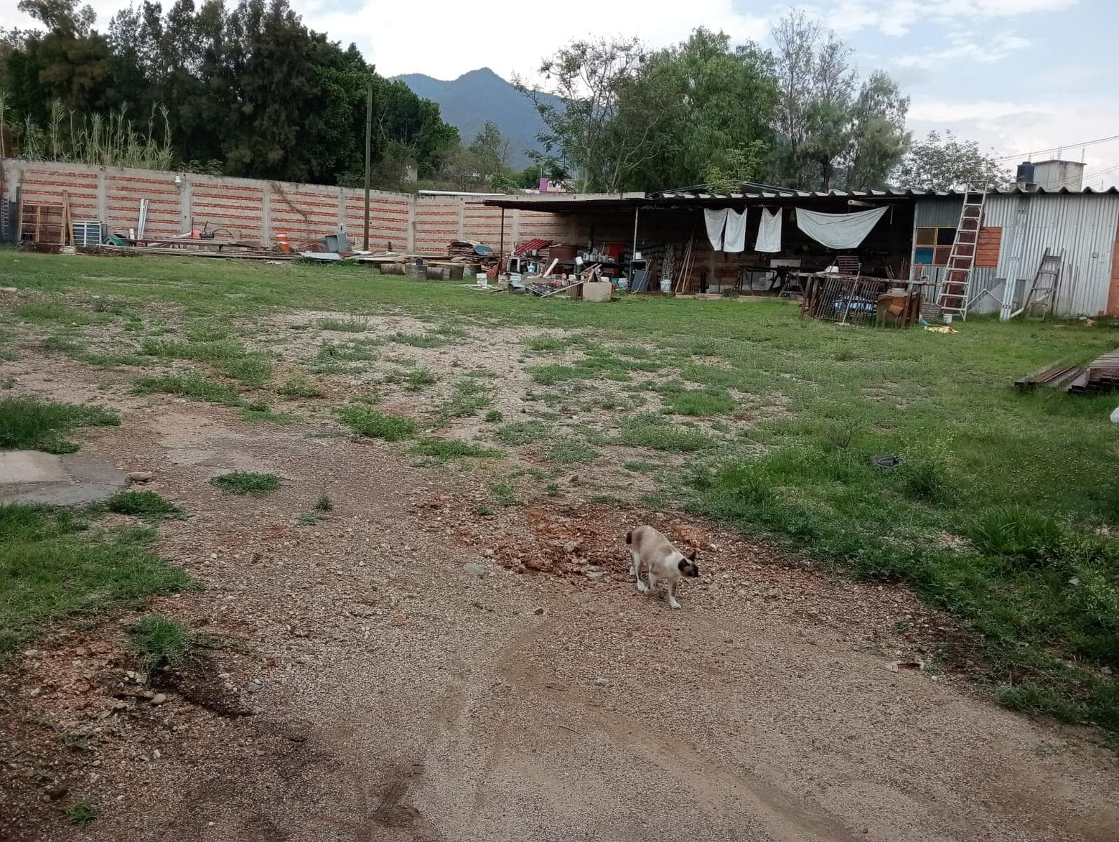 Terreno en Viguera, Oaxaca - 1