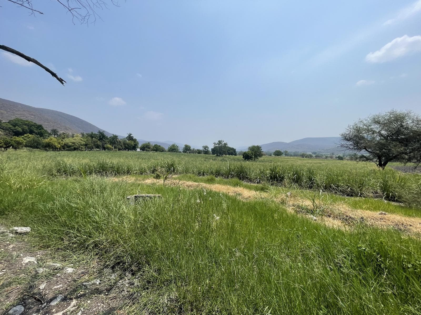 Venta terreno Tlaltizapán, Morelos $42,000,000.00 - 1
