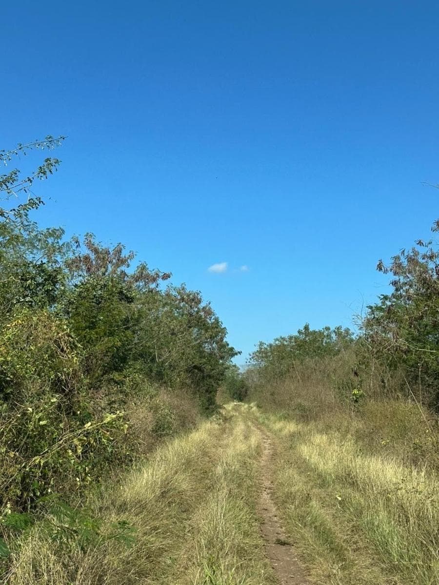 Terreno a 3 minutos de Motul Pueblo mágico de Yucatán de 47,527.42 m2 - 1