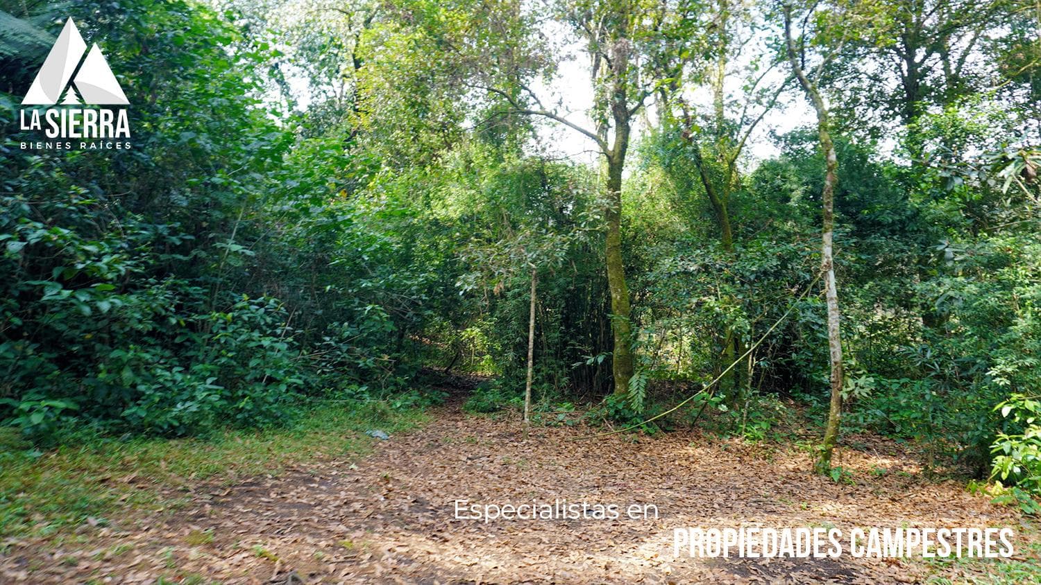 Terreno para inversión sobre Carr. México-Tuxpan en Xicotepec de Juárez - 1
