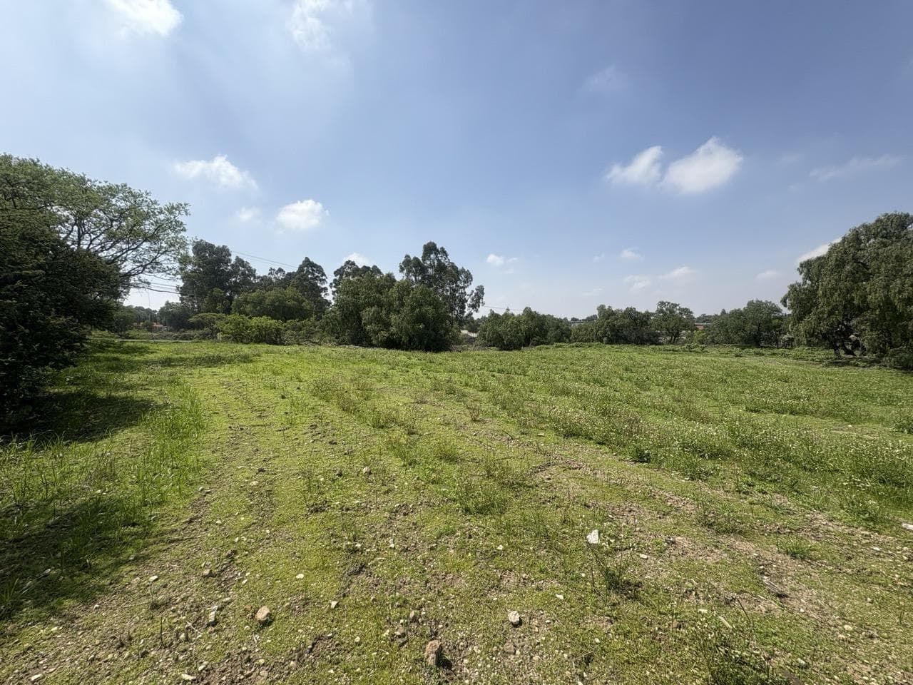 TERRENO en VENTA a pide de carrtera Santa Maria Cuevas -Hueypoxtla Edo Mex - 1