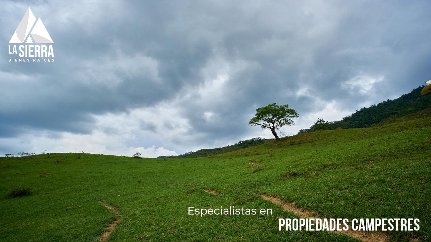 Rancho con Bosque y Potrero - 1