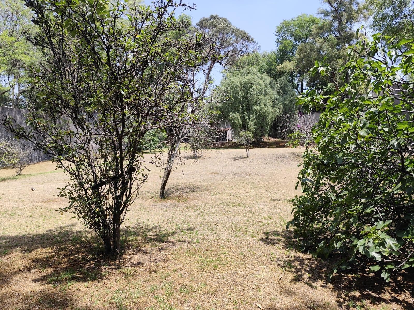 Terreno en venta en San Jerónimo Lídice - 1