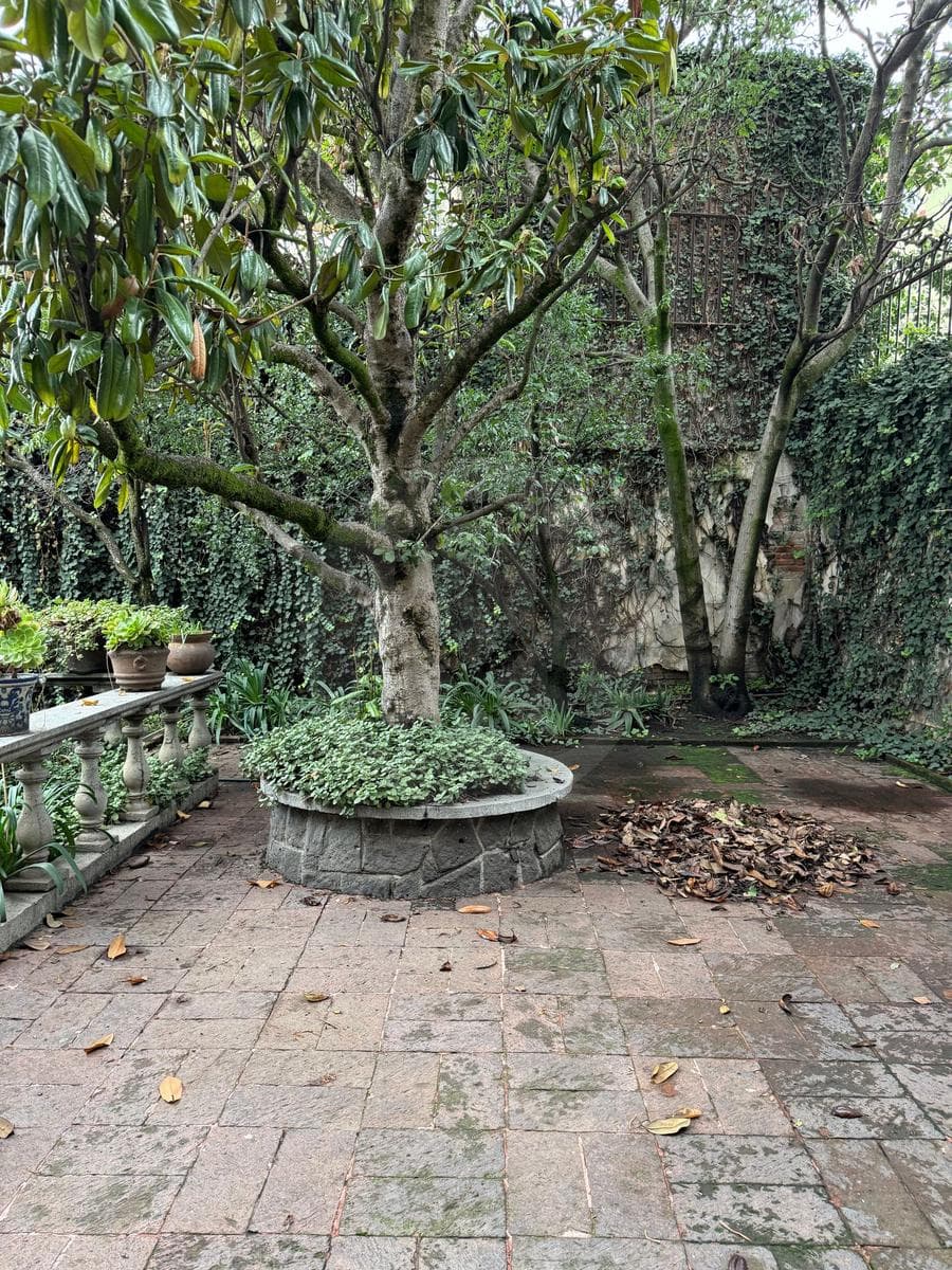 Departamento en renta en Lomas de Chapultepec 2 Recámaras - 1
