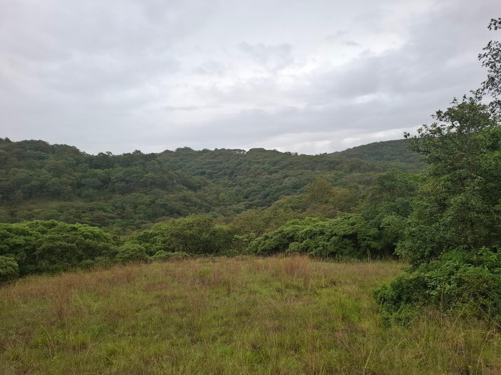 VENTA DE TERRENO EN FRACCIONAMIENTO CAMPESTRE ,LOTE 30, MZN VI, VILLA DEL CARBON - 1