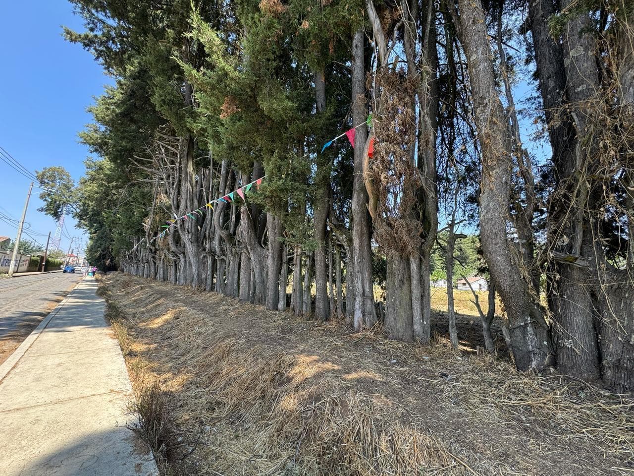 Terreno Céntrico en Villa del Carbón, Estado de México - 1
