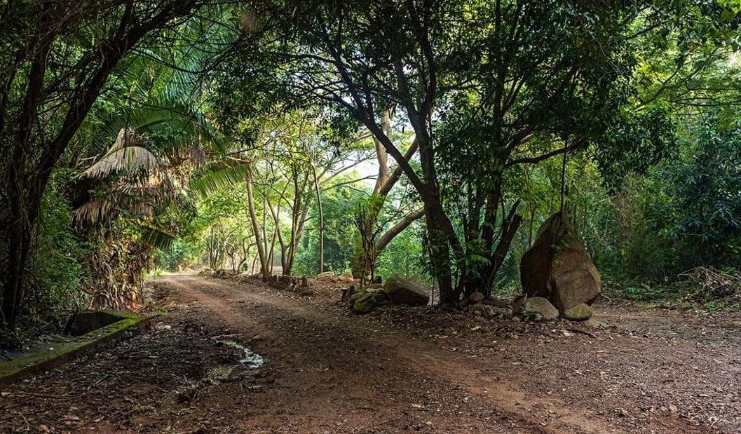 Terreno en Venta en Rancho Mahagua Manzanillo - 1