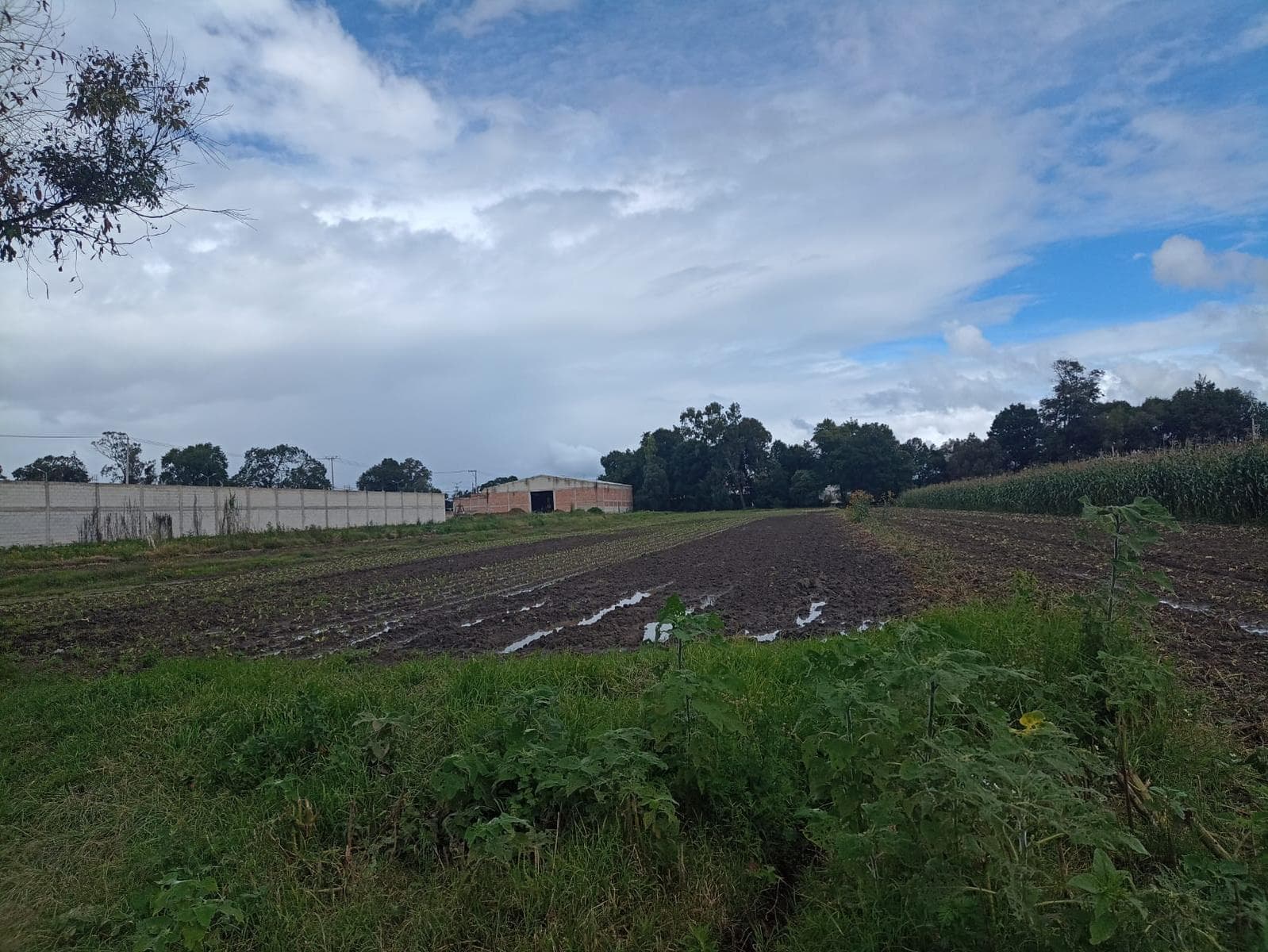 TERRENO EN VENTA A15 MIN DE HUEJOTZINGO Y A UNOS METROS DE LA FEDERAL A MÉXICO. - 1