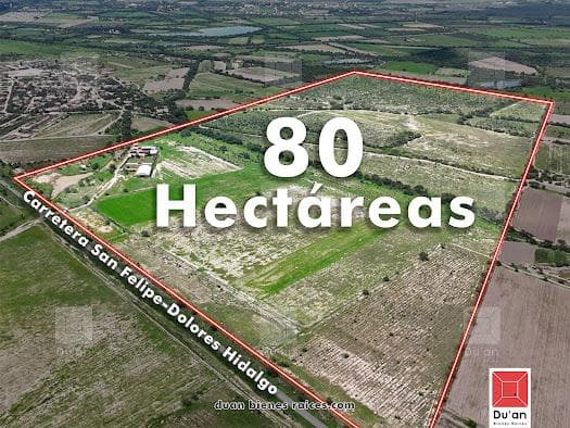 Rancho en venta de 80 Ha, en San Felipe, Guanajuato. Con casa, bodega y estanque para 3 años - 1