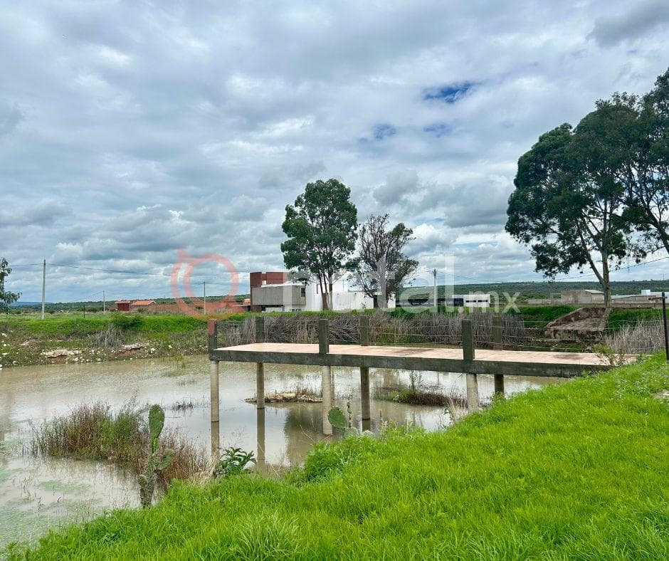 TERRENO VENTA PUERTA LUNA LAGOS DE MORENO JALISCO - 1
