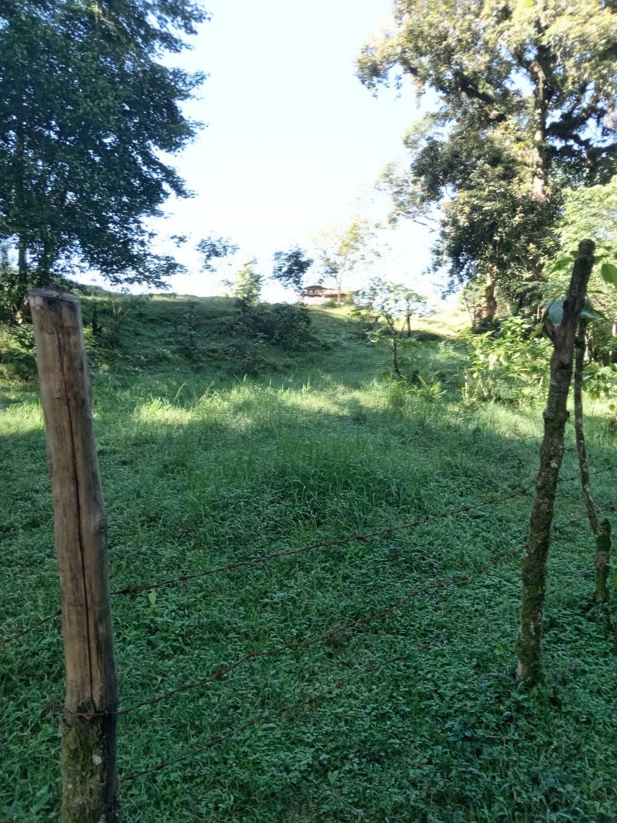 Terreno - Coatepec - 1