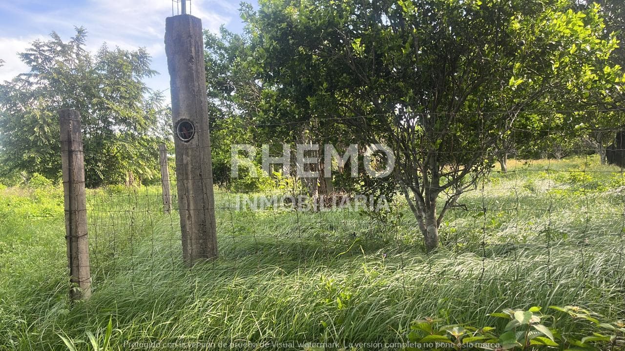 Terreno en Venta media hectárea en Juana Moza, Tuxpan, Ver. - 1