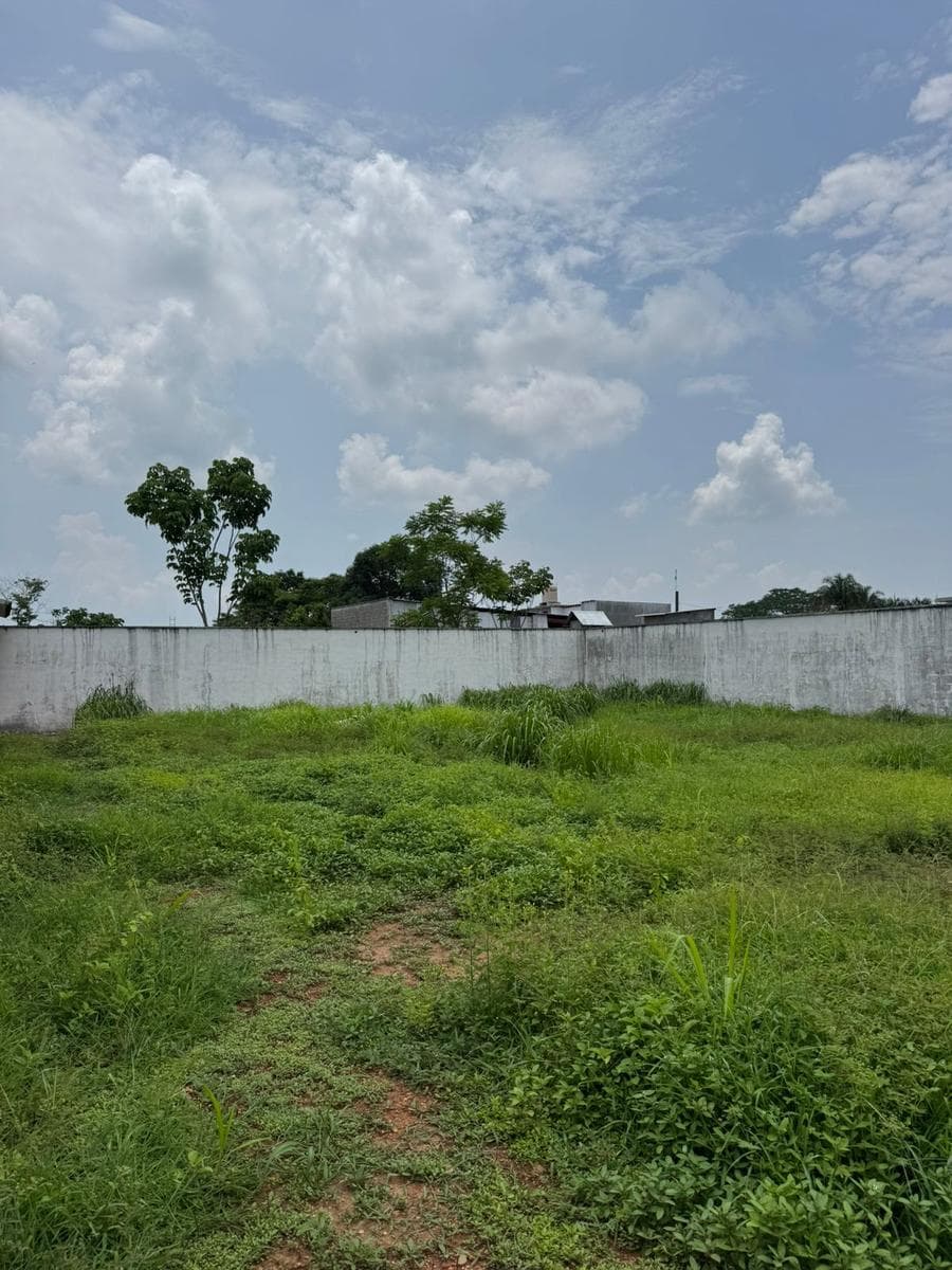 Venta De Terreno En Tuxtepec Oaxaca Colonia Los Tules - 1