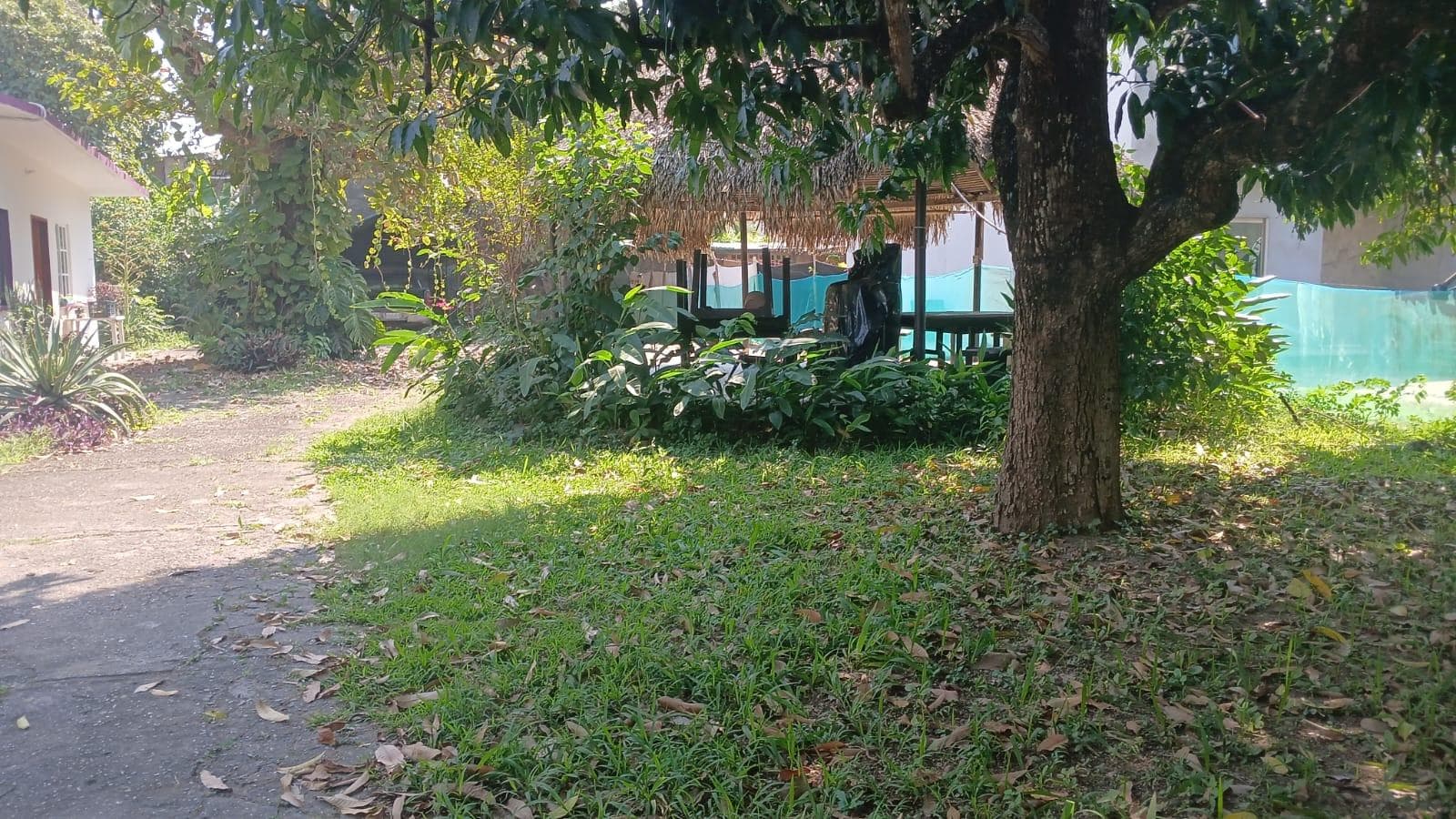 Terreno Venta De Terreno En Zona Centro En Tuxtepec Oaxaca - 1