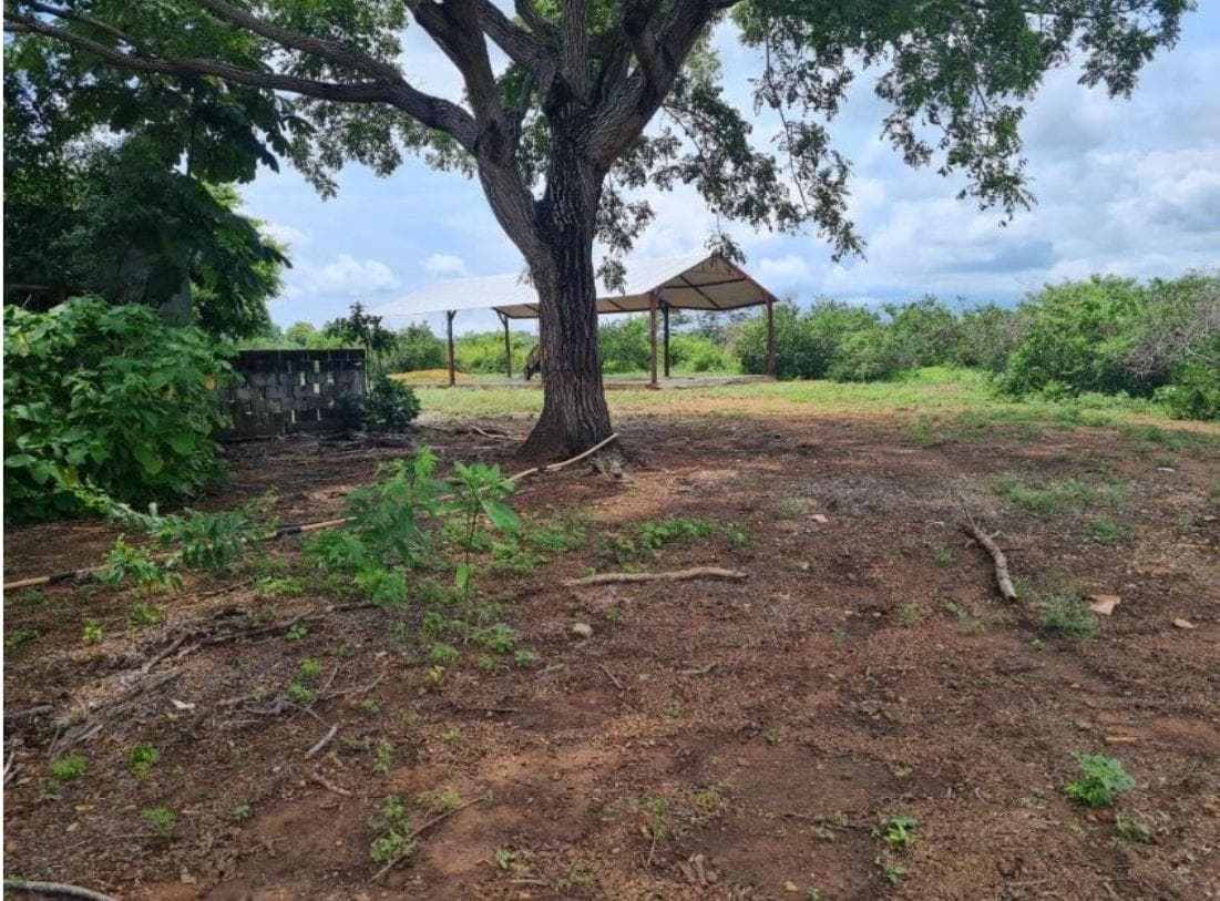 Venta DeTerreno En palogacho Tuxtepec Oaxaca - 1