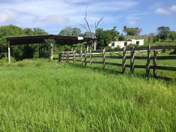 Vendo Rancho en Champoton, Campeche - 1