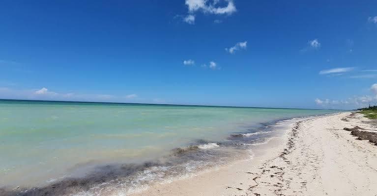 Terreno en venta, Frente al Mar, Telchac, Yucatán - 1