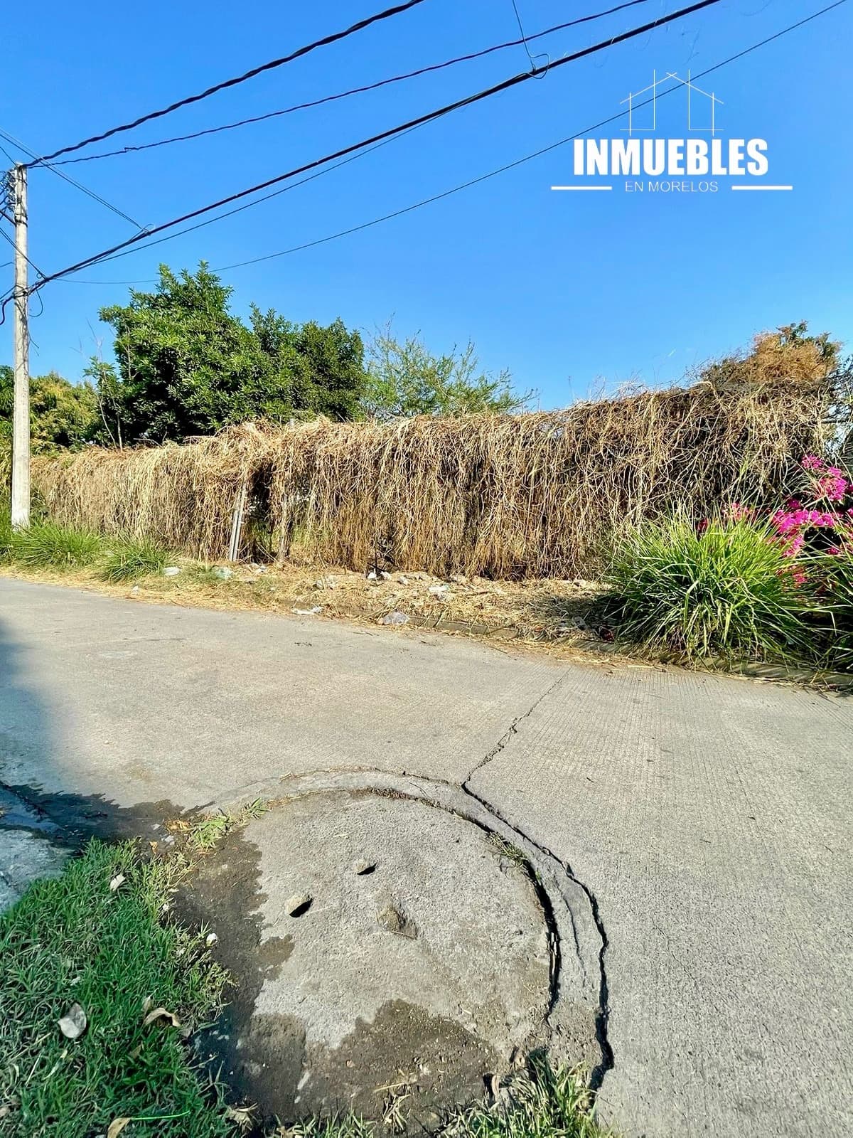 Terreno - Cuautlixco - 1
