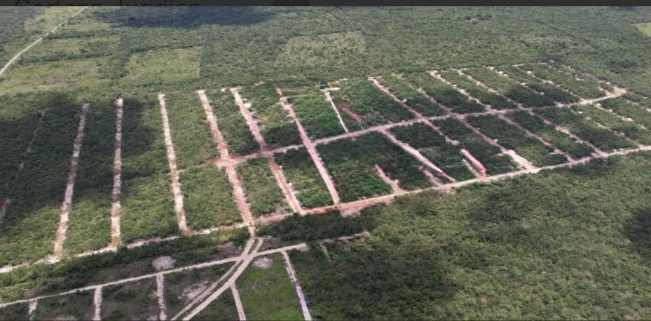 Terrenos Venta Dzilam González, Yucatán - 1