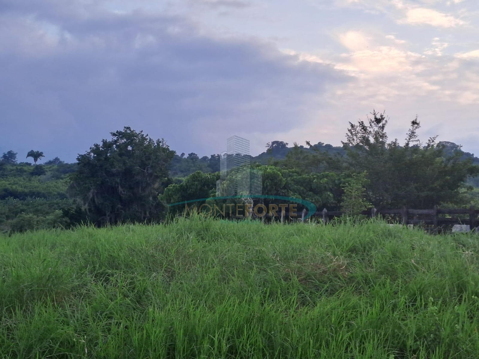 Terreno en Poza Rica de Hidalgo - 1