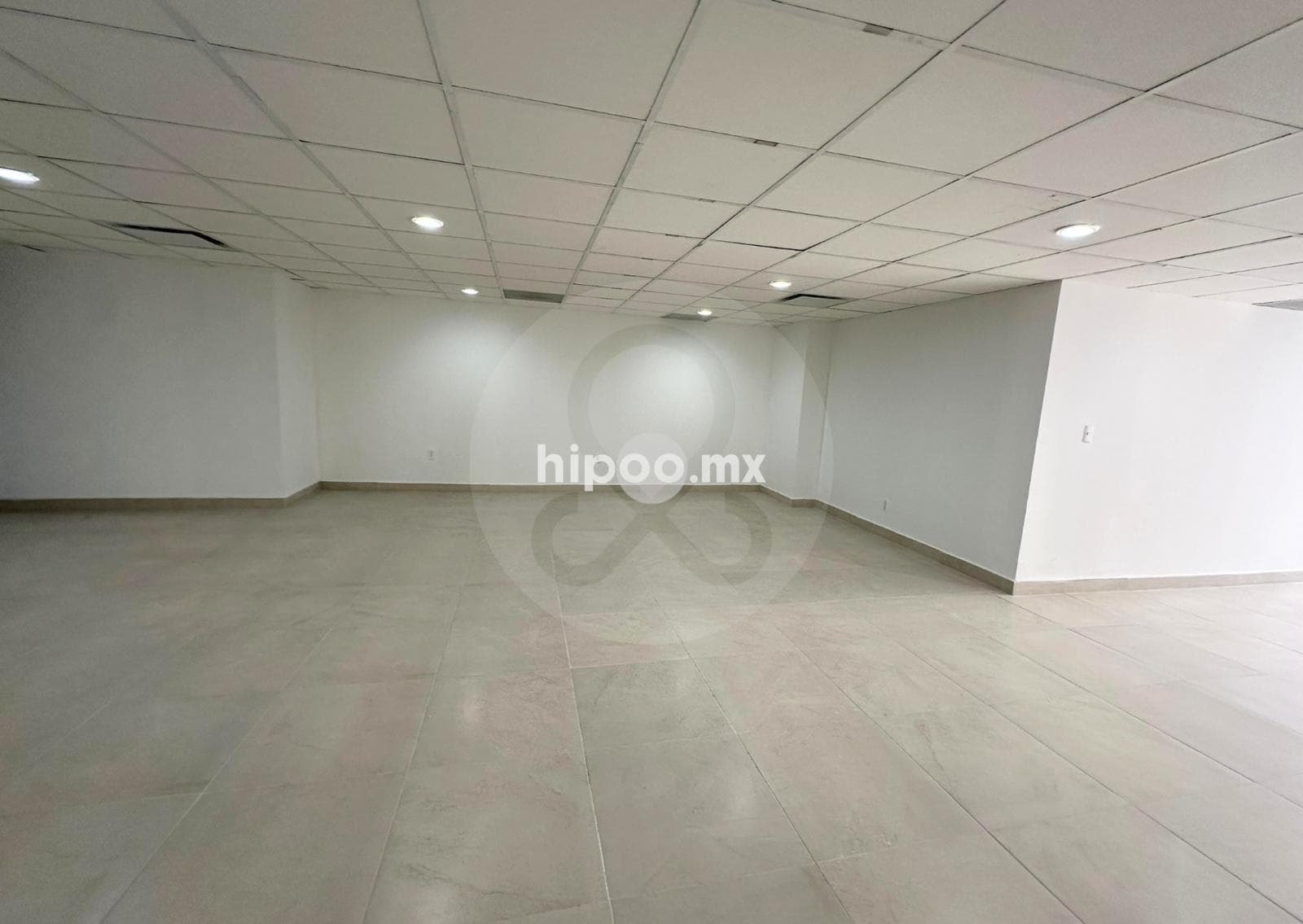 Oficina 804 en renta piso 8 en Anzures - 1
