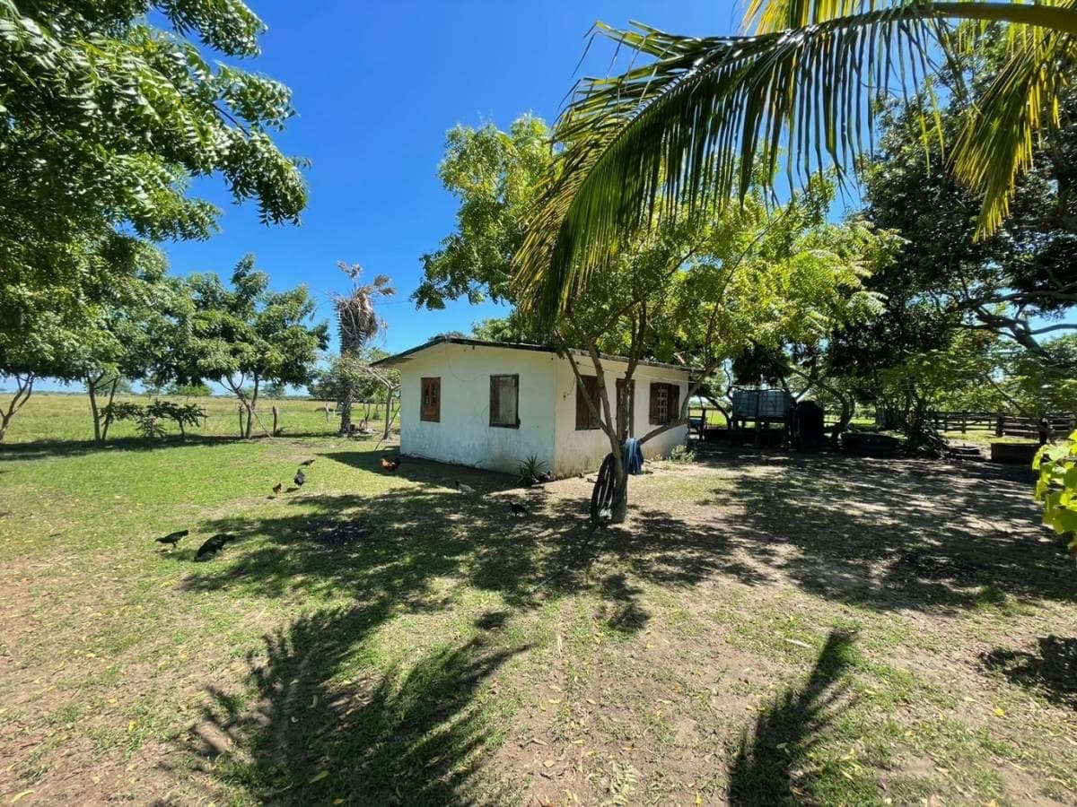 Rancho en Tamiahua, Veracruz - 1