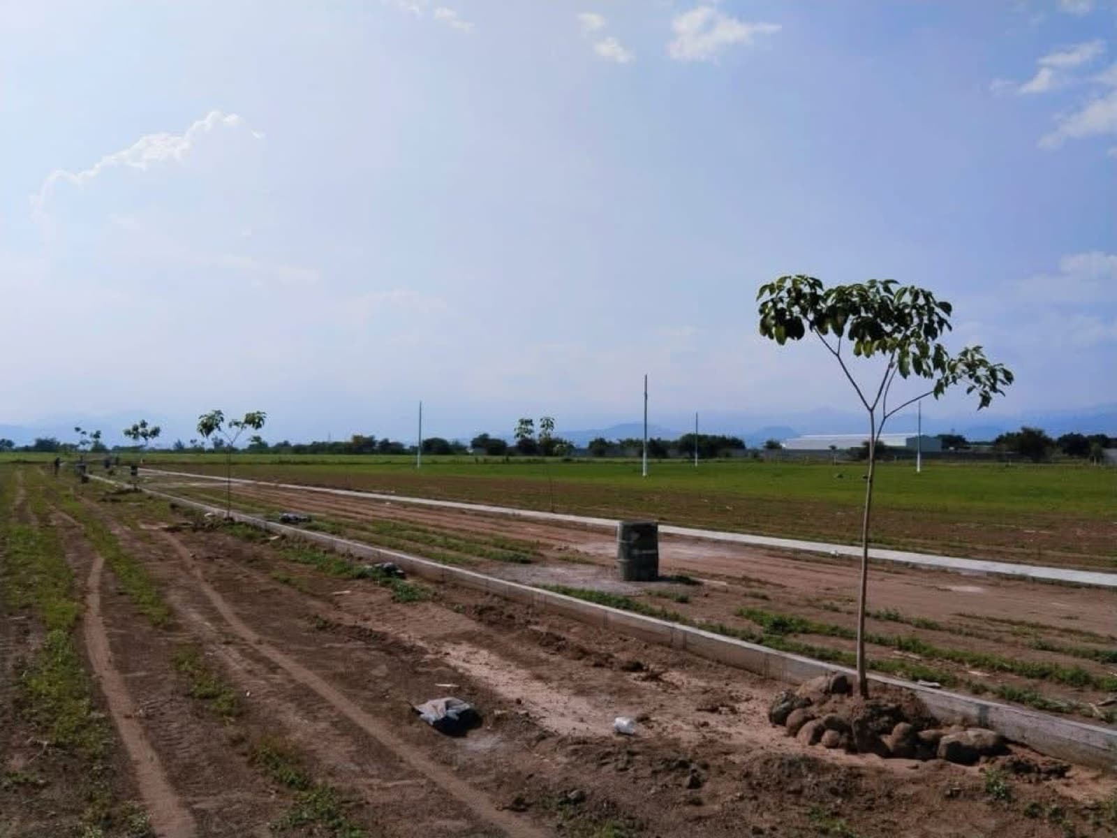 Terreno - Yecapixtla - 1