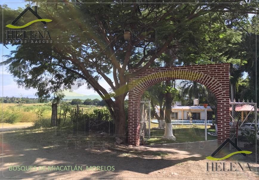 Terreno Panorámico en venta en Bosques de Miacatlán - 1