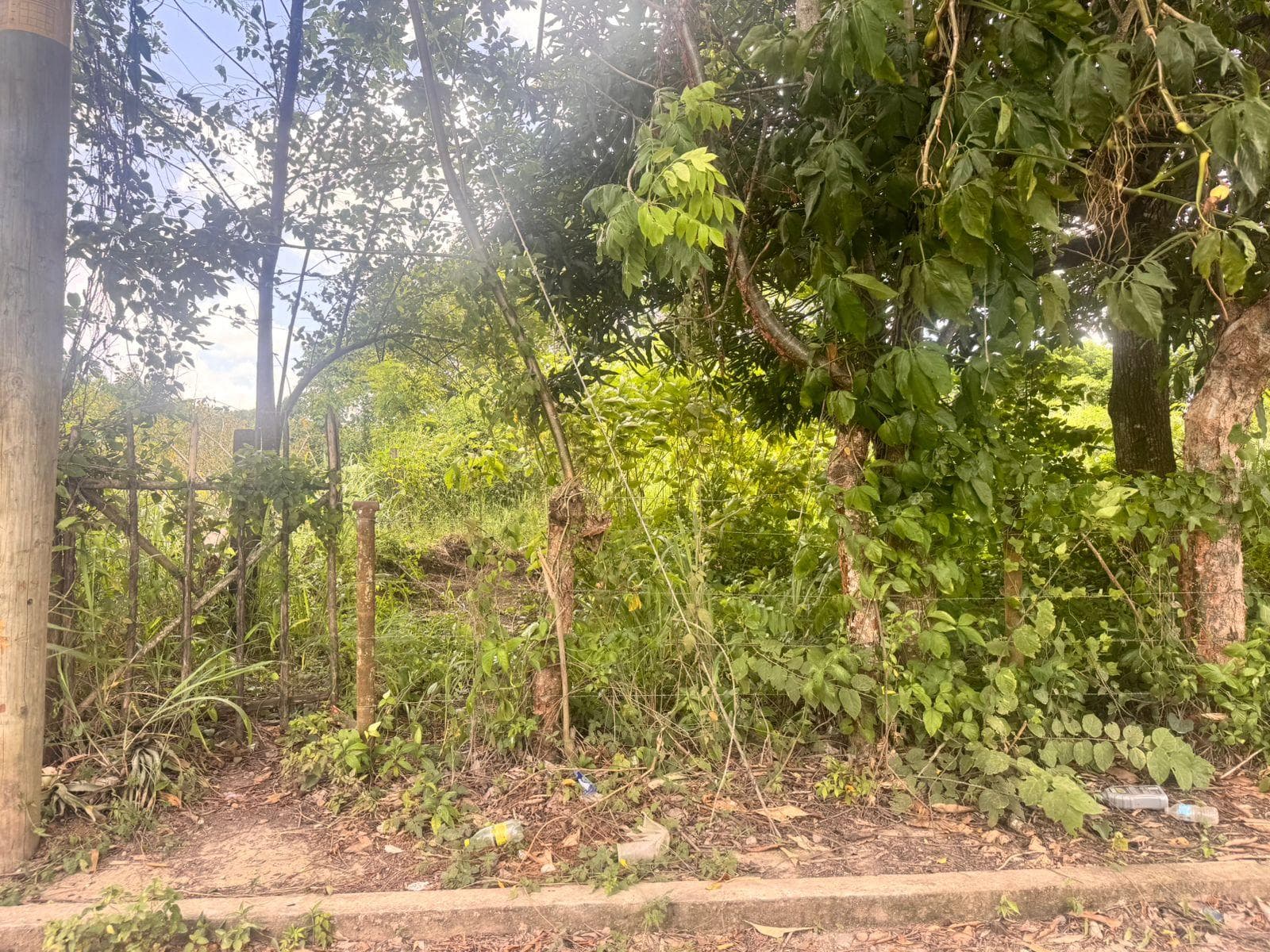 TERRENO EN VENTA EN COL REVOLUCION VERDE, POZA RICA - 1