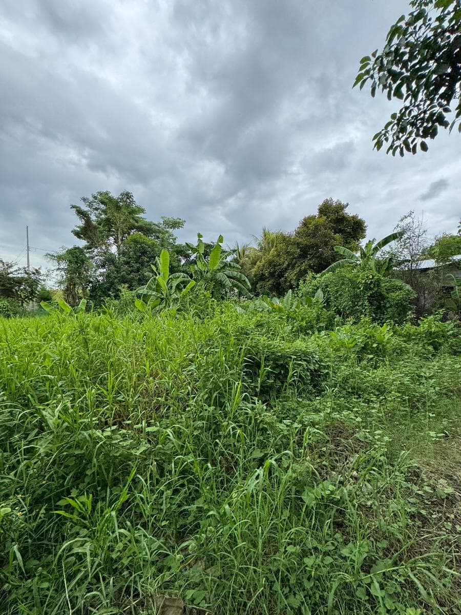 Venta de Local Comercial en Av. 18 de marzo en Primer Cuadro de la Ciudad en Tuxtepec Oaxaca - 1