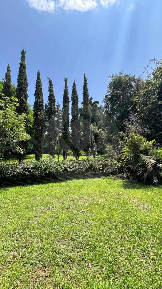 Venta de Terreno en Tlayacapan - 1