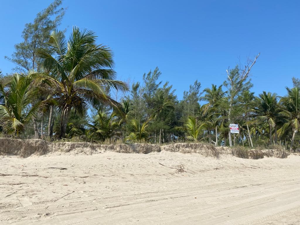 TERRENO VENTA PLAYA TUXPAN - 1