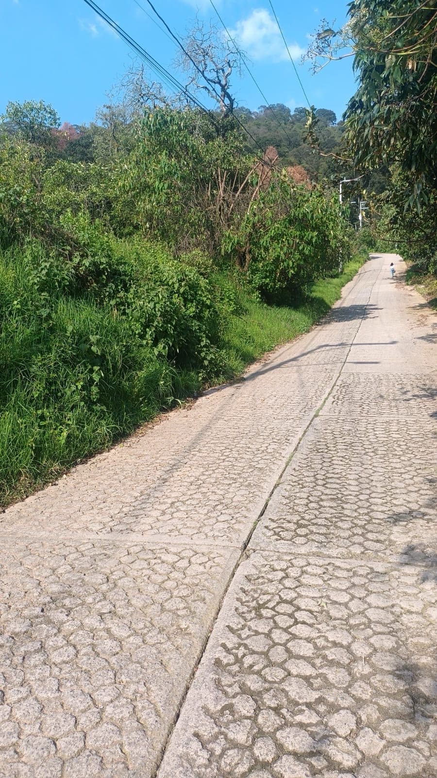 Terreno - San Miguel Ameyalco - 1